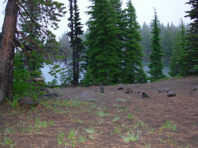 Summer '06 Sunriver 568 